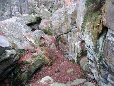 Mont Ussy - sous la platière Mont Ussy - sous la platière