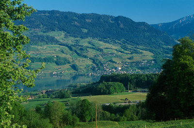 Lac de Sarnen, par omα Lac de Sarnen, par omα