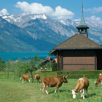 Iseltwald, Lac de Brienz, par omα