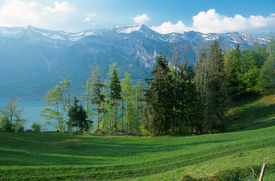 Rothorn de Brienz, Lac de Brienz, vus d'Axalp, par omα