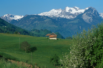 Giswilerstock N, par omα