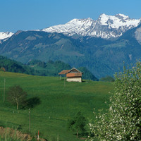Giswilerstock N, par omα