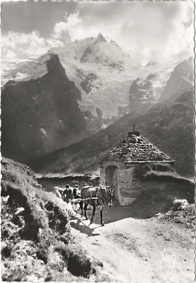 Glaciers en face N de la Meije, janvier 1954 Glaciers en face N de la Meije, janvier 1954