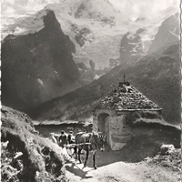 Glaciers en face N de la Meije, janvier 1954
