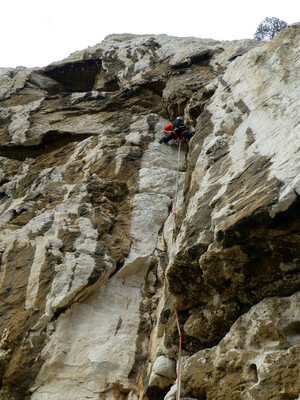 L4, encore en libre