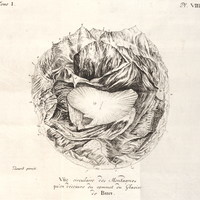 Panorama circulaire du Buet en 1775 par M.T. Bourrit