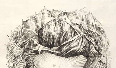 Massif du Mont Blanc vu du Buet en 1775 par M.T. Bourrit Massif du Mont Blanc vu du Buet en 1775 par M.T. Bourrit