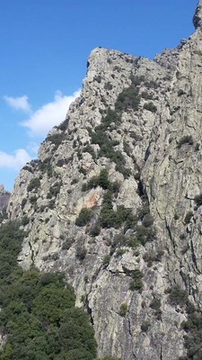 Grande grésouïre