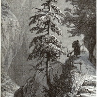 Mechtal, en 1865 (GRV)