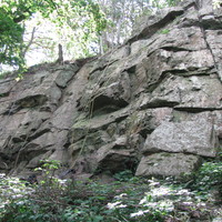 Le gasseau