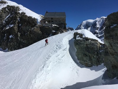 Vignettes ( à la descente )