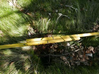 Dans la foret au dessus, visiblement ca bouge Dans la foret au dessus, visiblement ca bouge