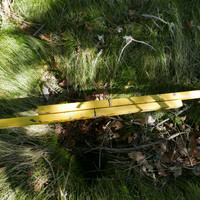 Dans la foret au dessus, visiblement ca bouge