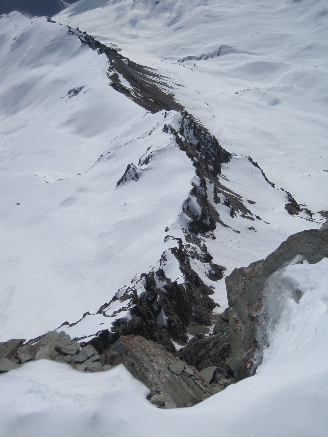 Il Colle della Rossa dalla cima con tutta la Cresta del Lauson fino al Rif. Vittorio Sella