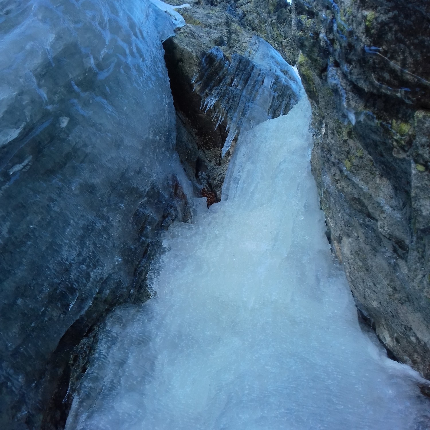 De la glace !