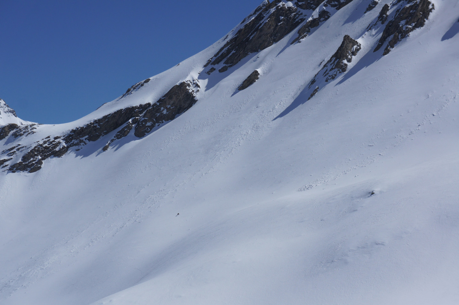 pas trop de monde sur les pentes (zoom pour voir le chamois solitaire)
