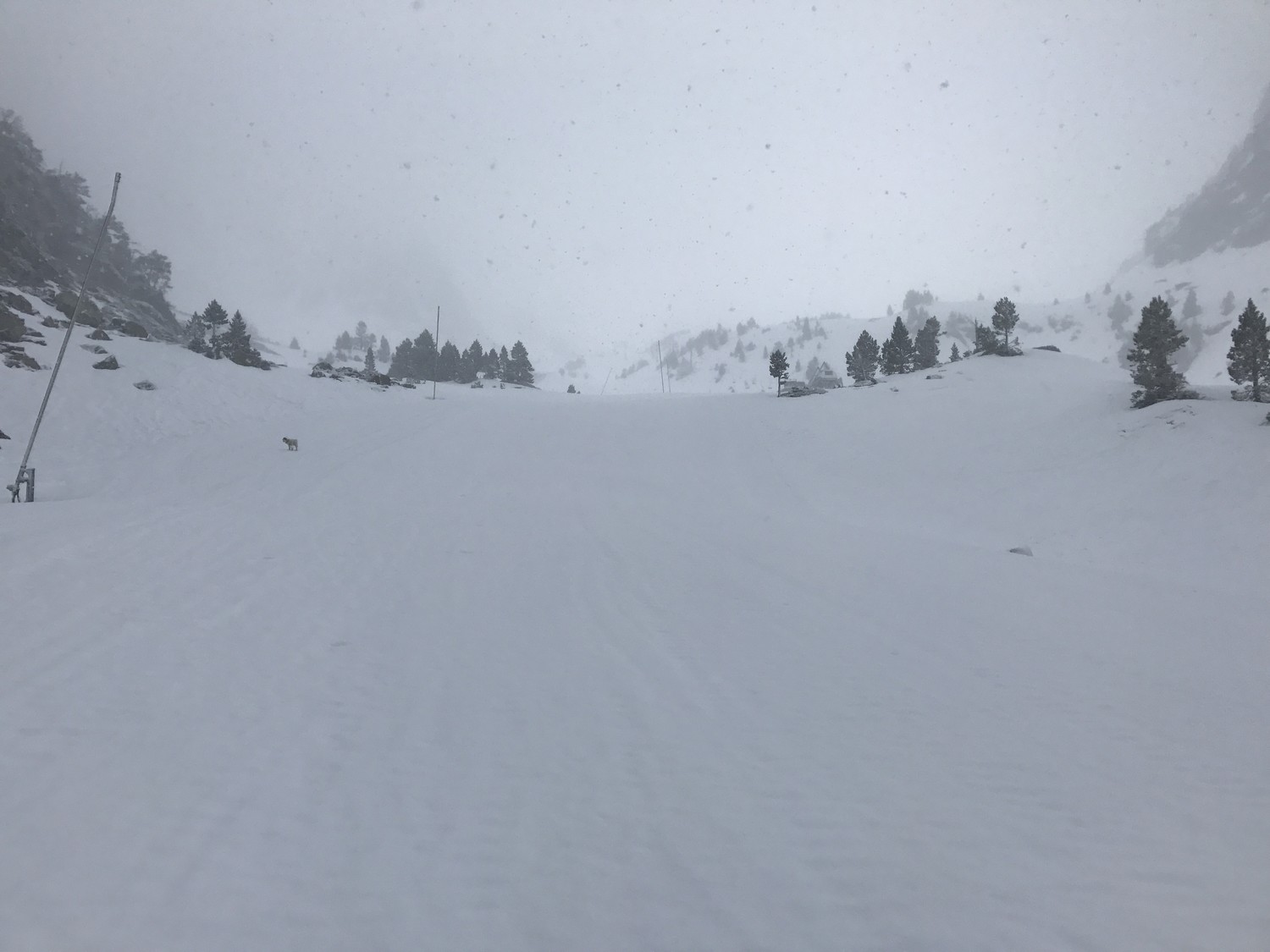 Sur la piste