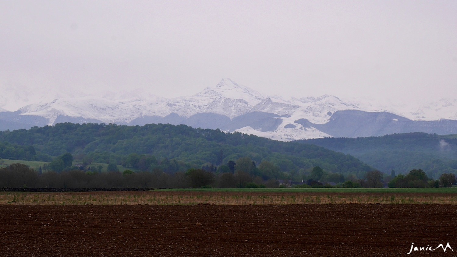 La panthère sort ses griffes