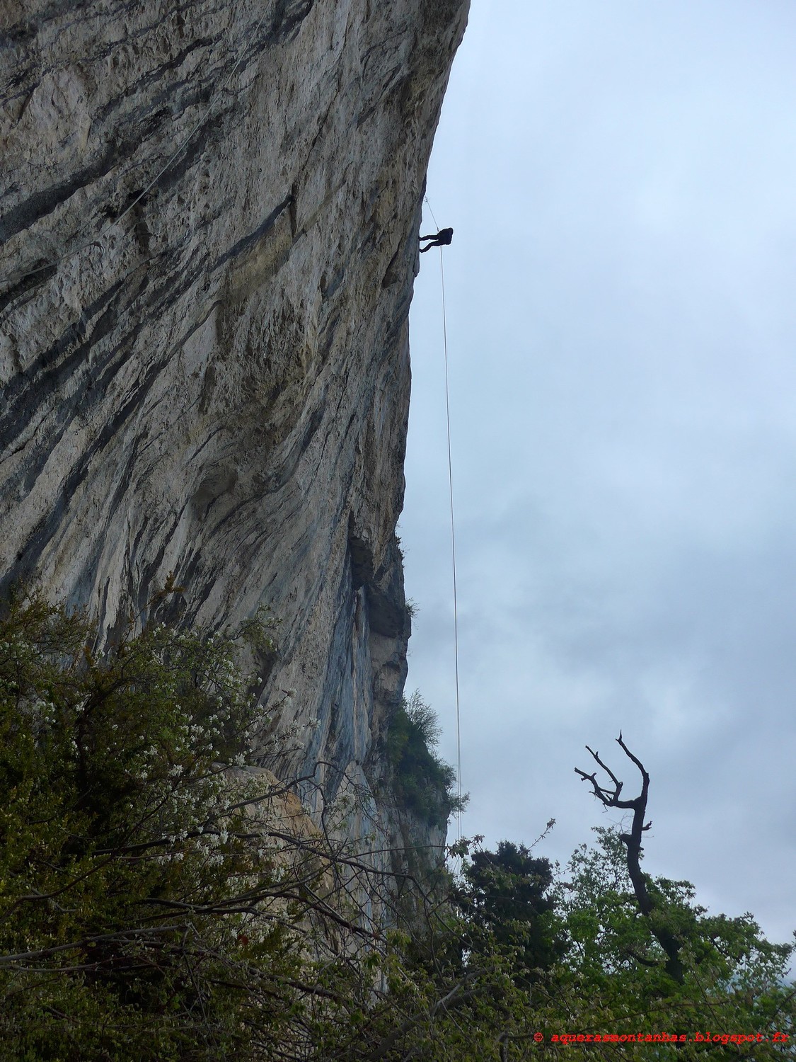 pendant le rappel