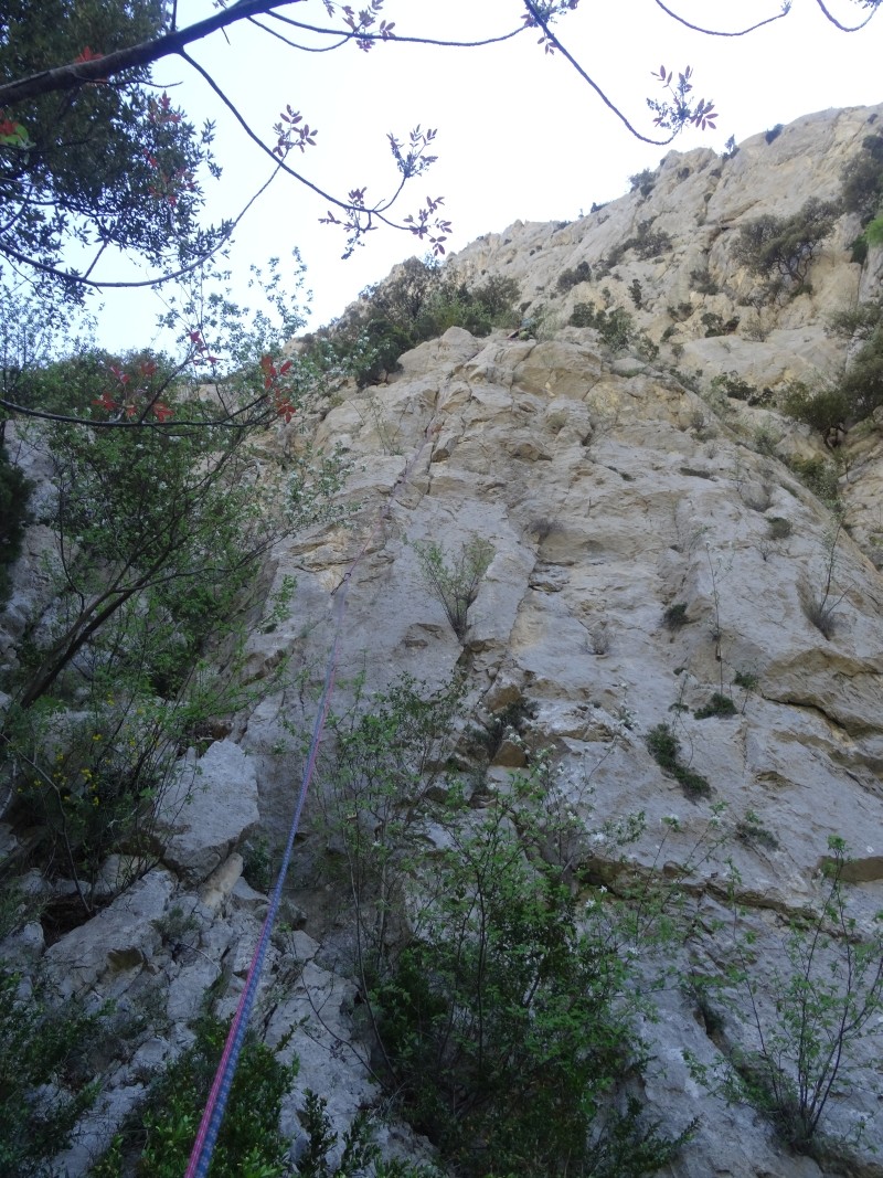 Le départ