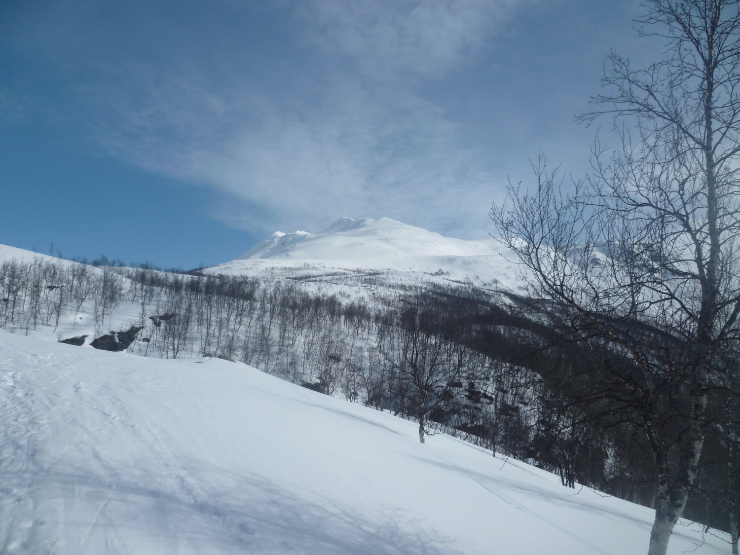 Rassevarri depuis le départ
