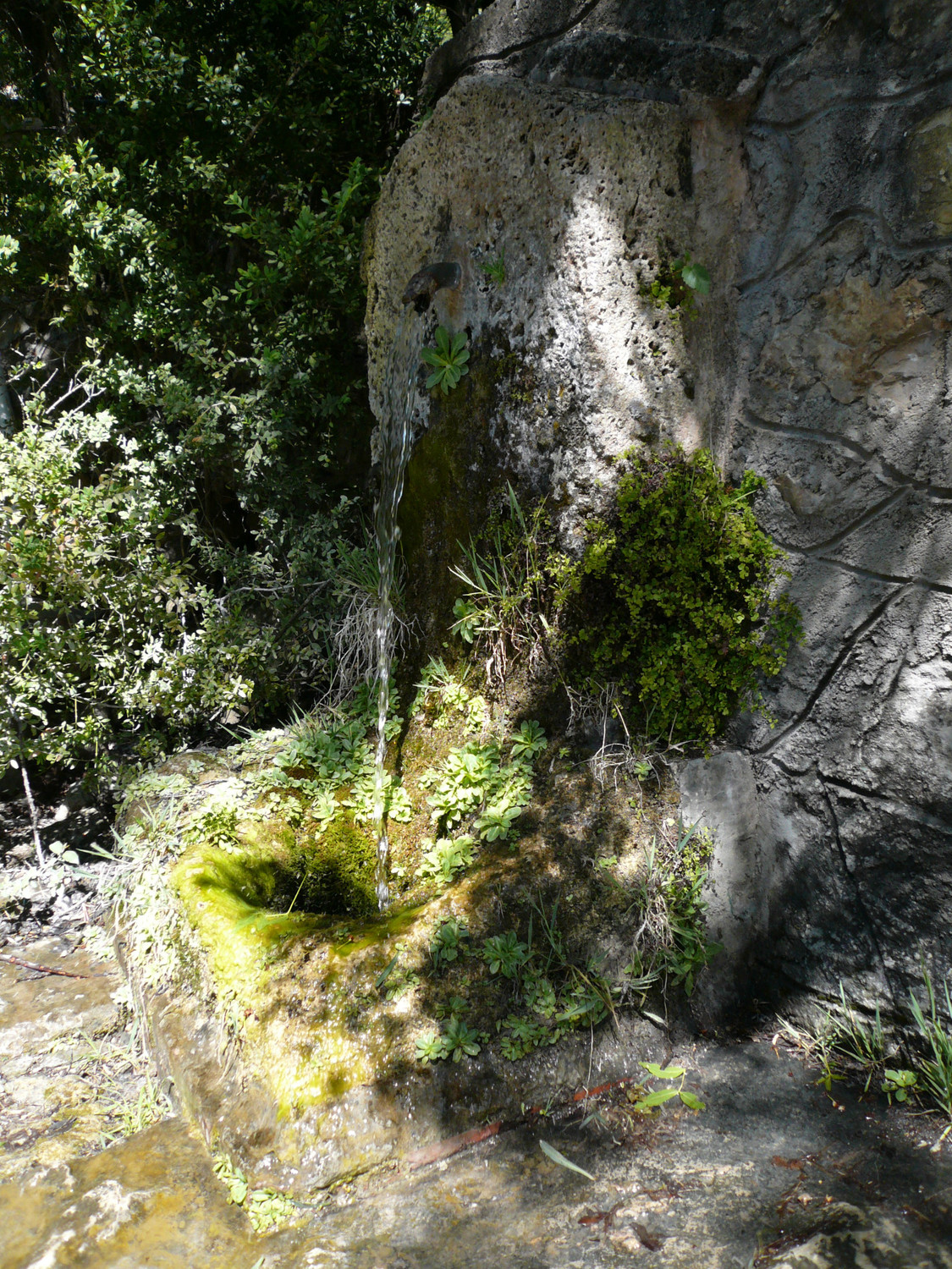 Fontaine