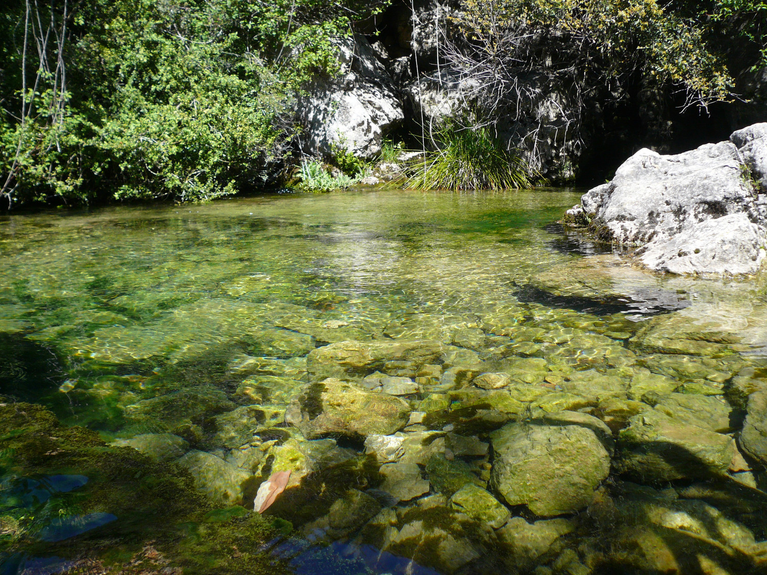 Source Bordonera
