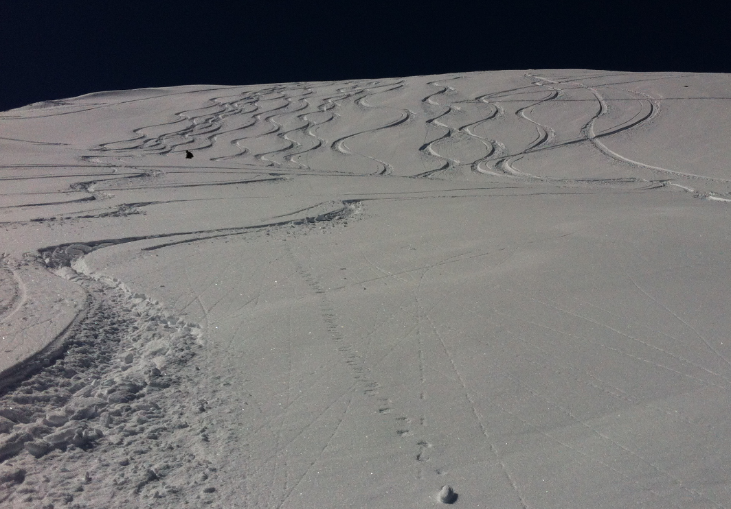 le haut bonne poudre