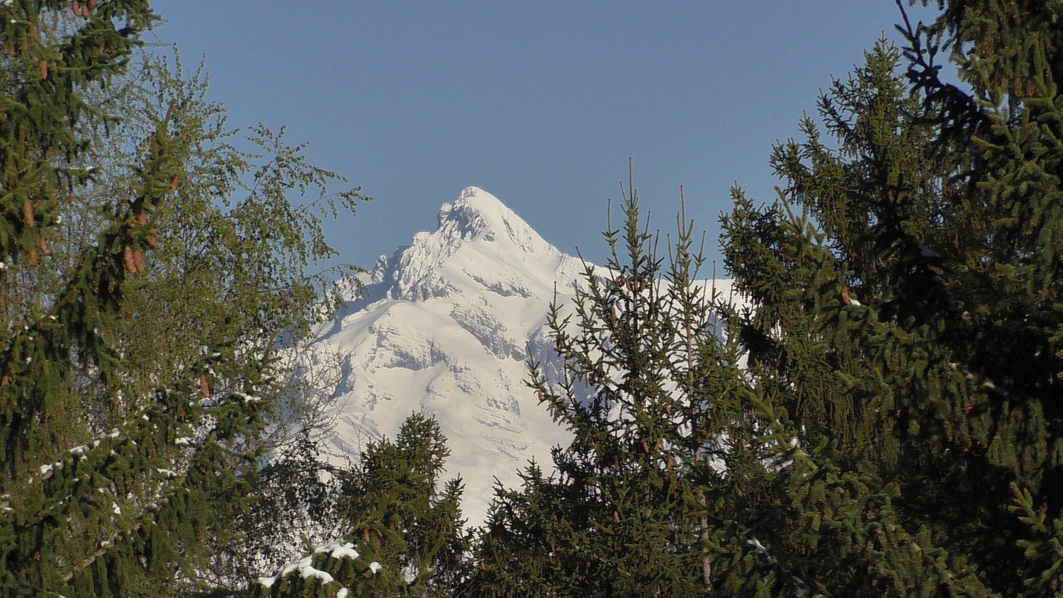 Le Grand Chavalard