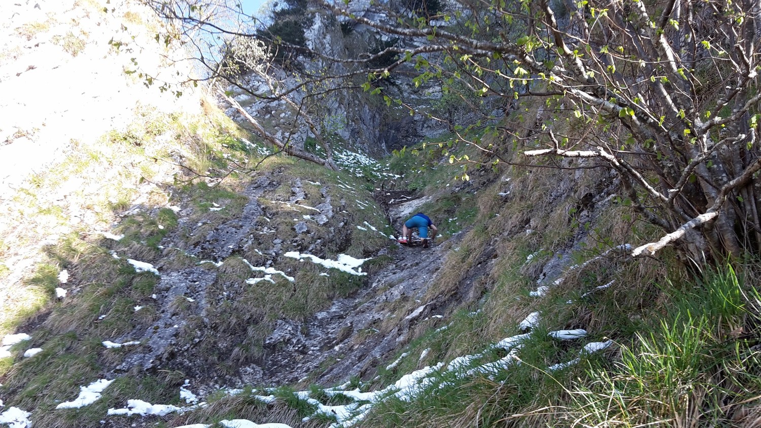 glissant