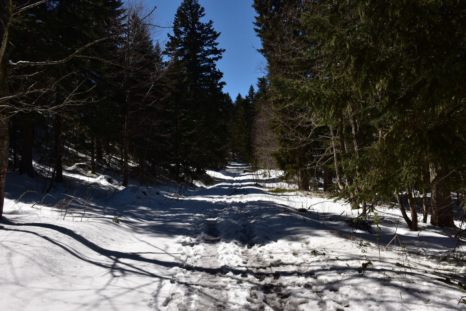 Neu des del principi del camí!