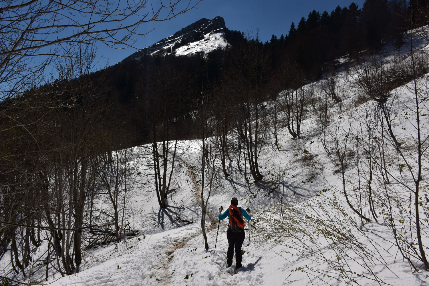 Arribant a La Pinéa