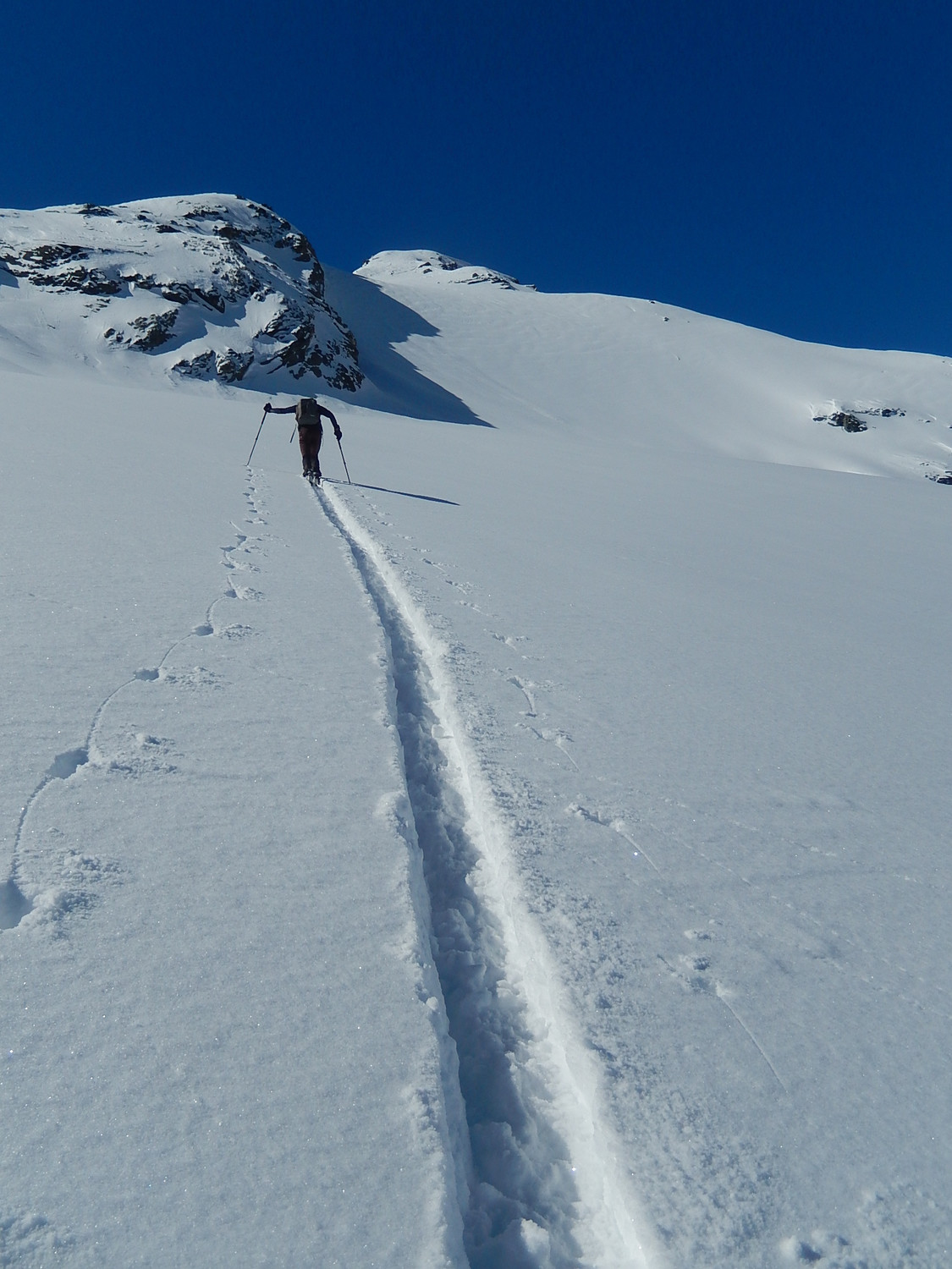 Verso la vera cima