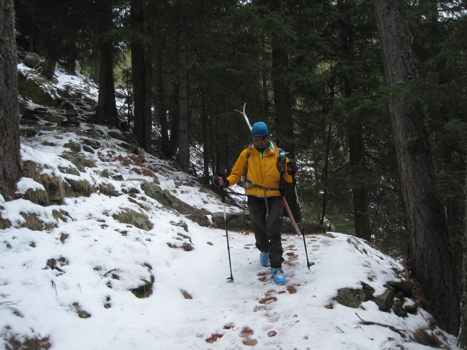 Resiste la neve sul sentiero a 1600m