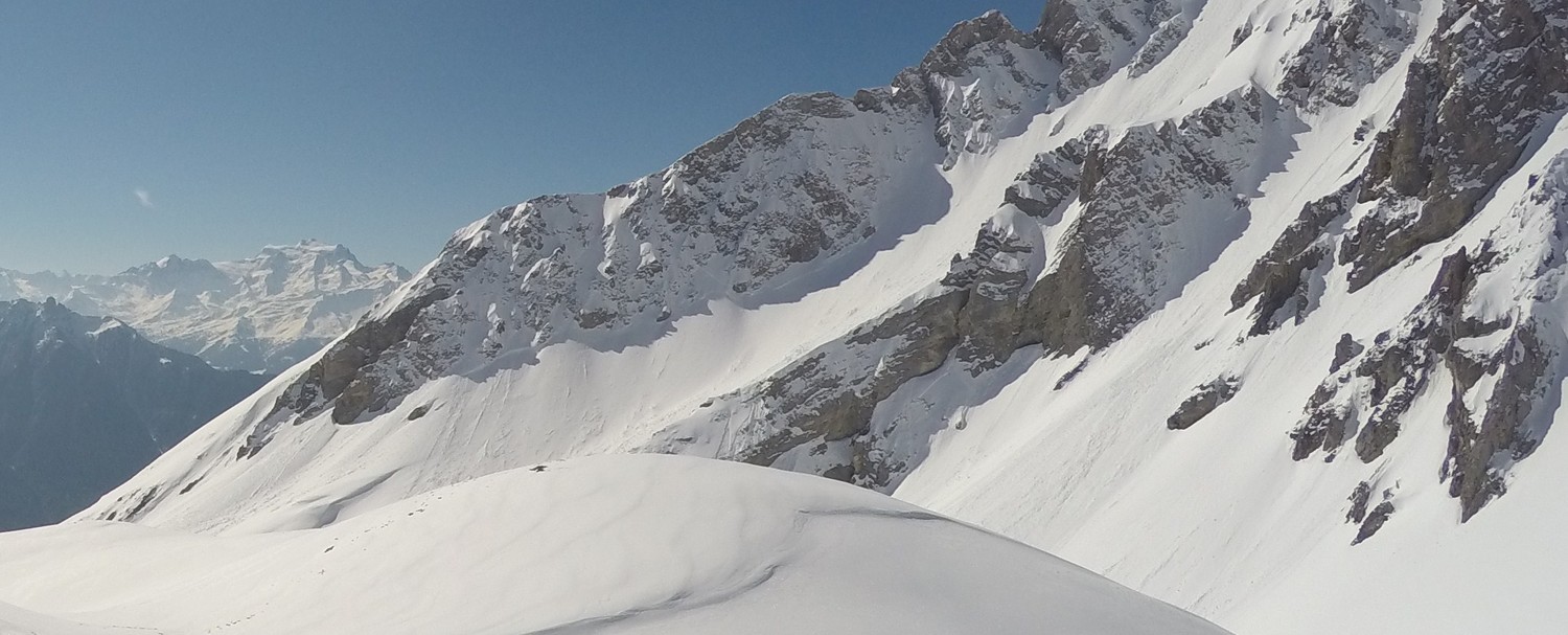 Grosse purge aussi en N du Chavalard