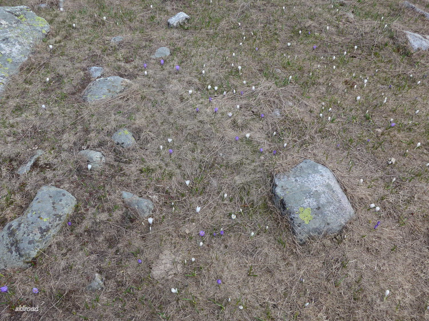 Le printemps est là.