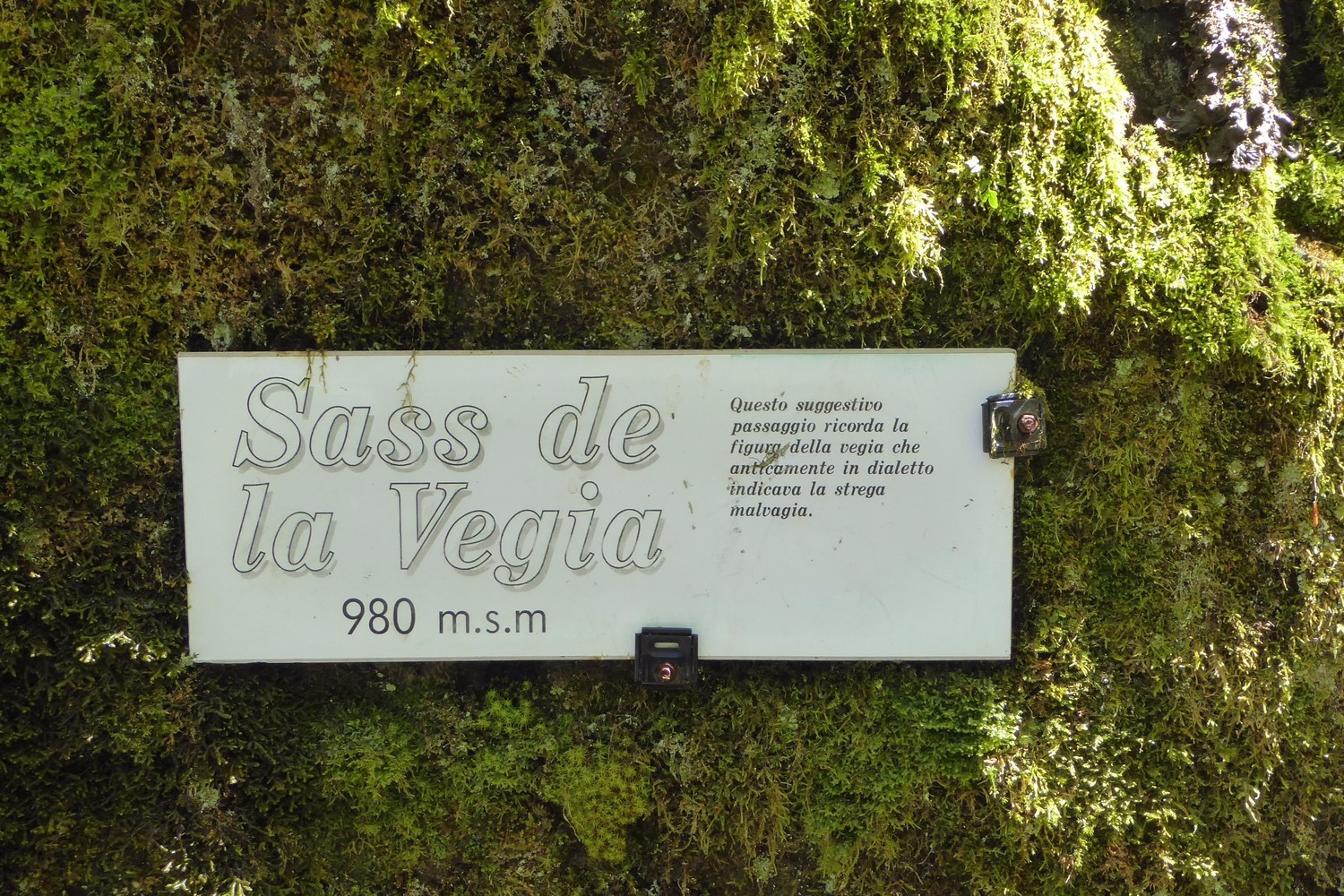 Sass de la Vegia