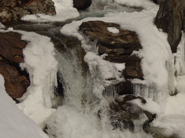 torrent
