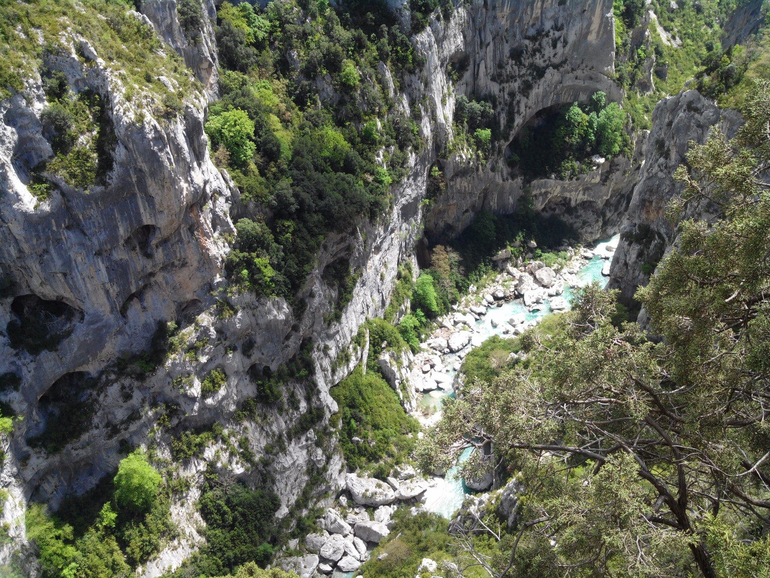 Le verdon