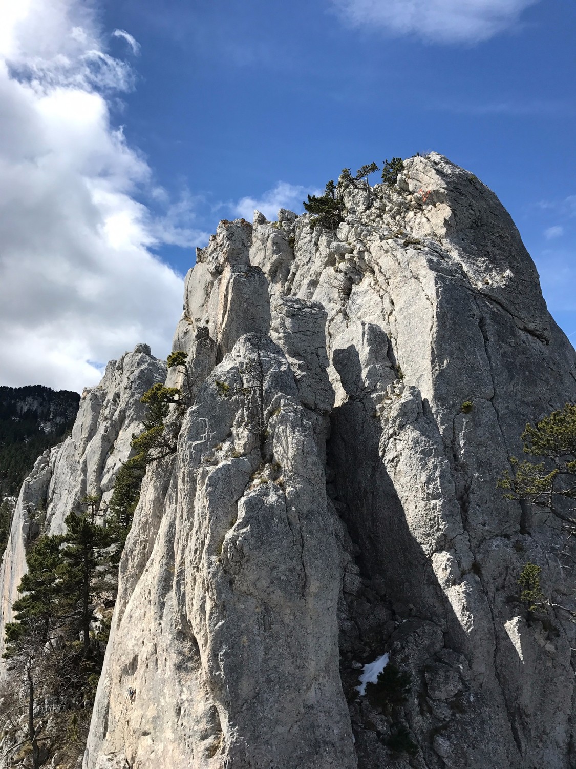 La grande pucelle