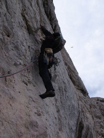 L2, le mur blanc vertical et prisu