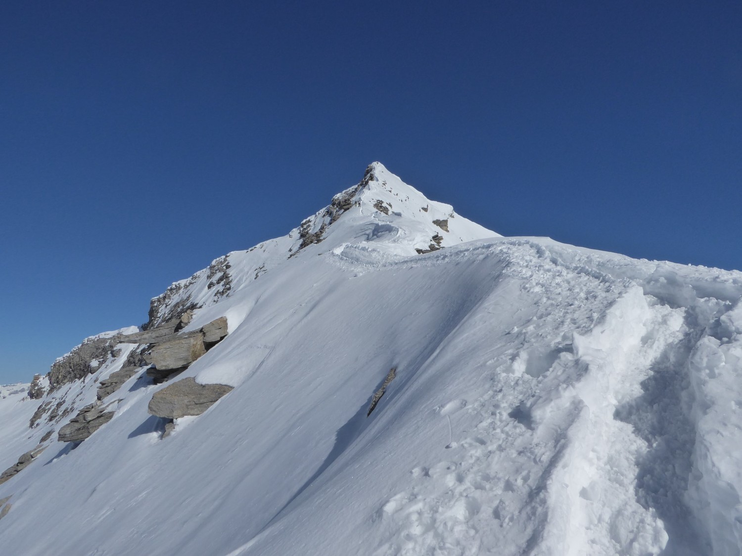 La cima