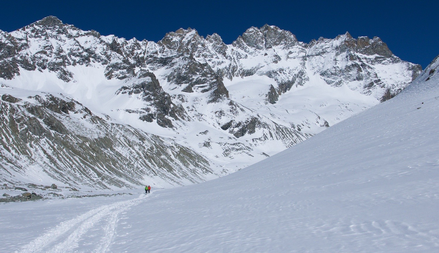 Les Bouquetins au dessus du Haut Glacier d'Arolla
