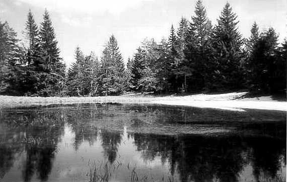 Lac Glory