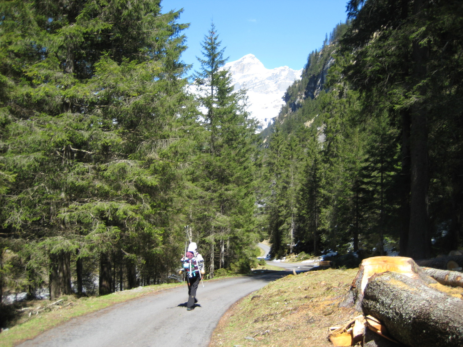 retour forestier