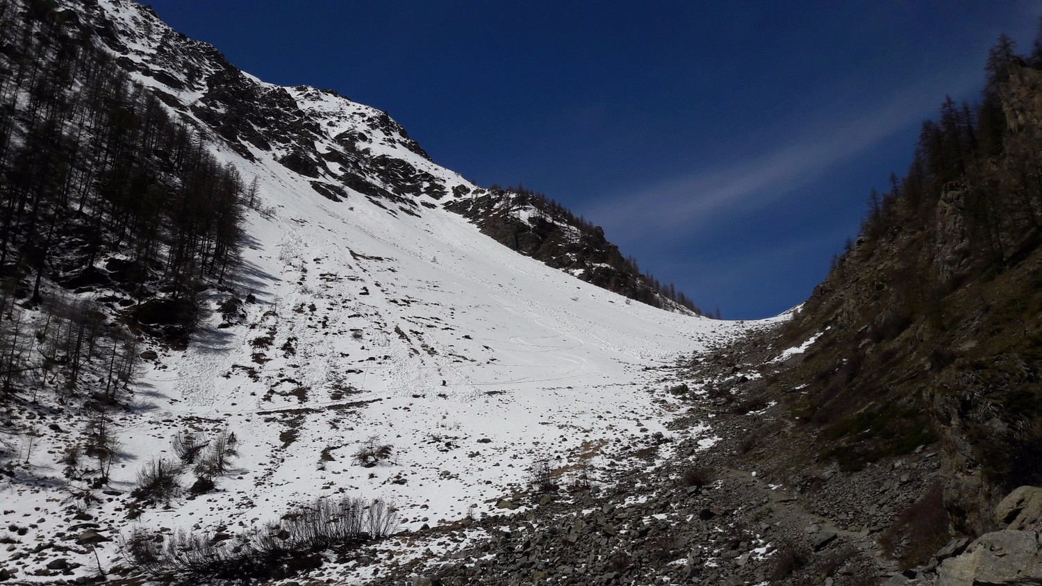 La limite skiable, vers 1960m