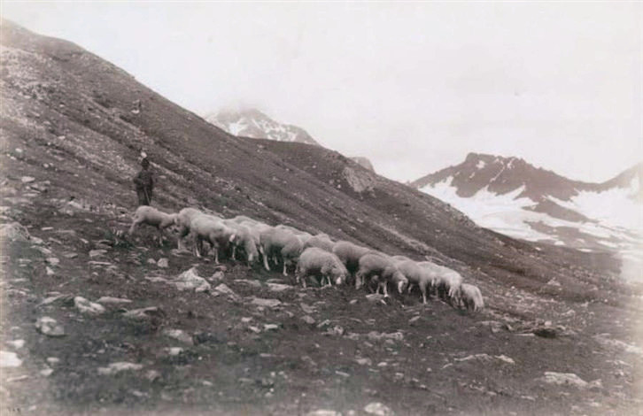 Pâturage en Haute-Valteline par Vittorio Sella