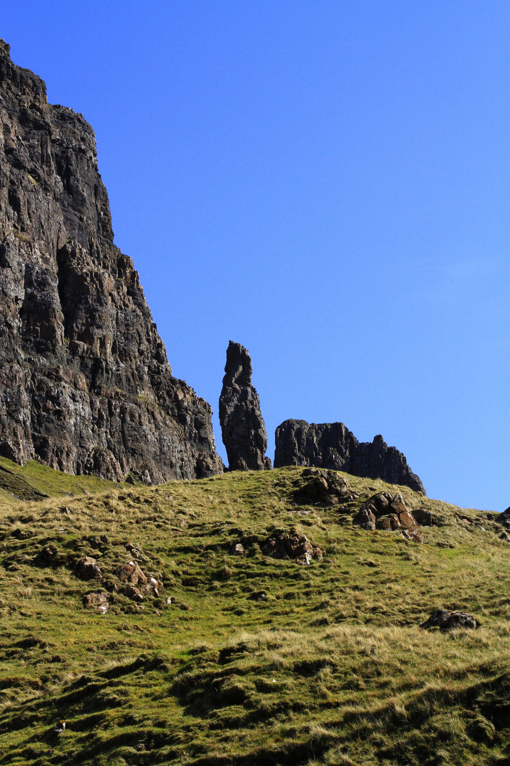 The Needle
