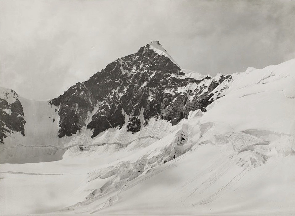 Lyskamm, from the Lys-gloria par Vittorio Sella en 1890