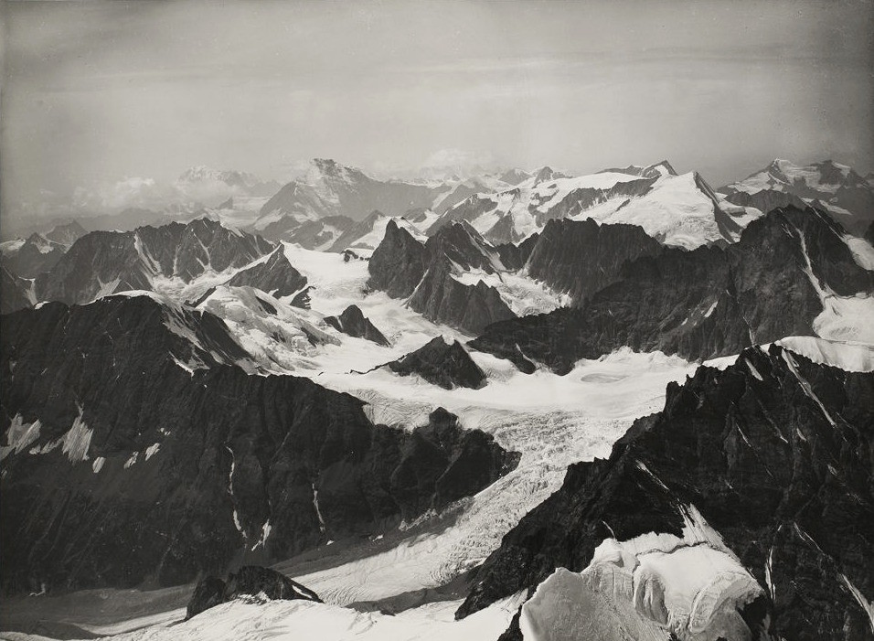 Mont Blanc, Combin, Ruinette, Mont Blanc de Cheilon, Bouquetins, par Vittorio Sella